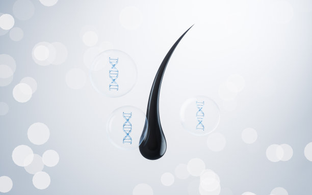 3D头发插画与头发保护的概念，3D渲染。图片下载