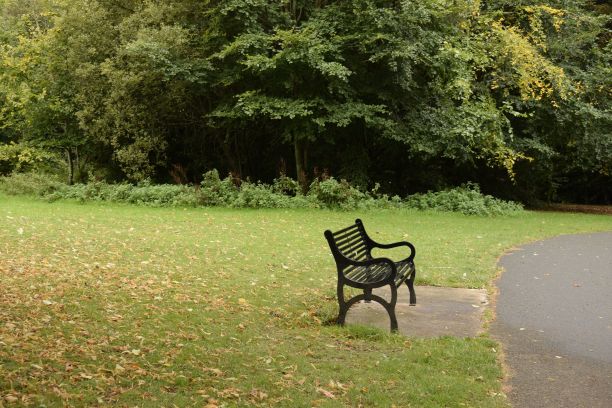 公园里孤零零的椅子图片下载