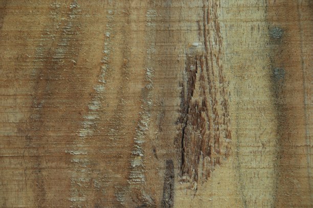 粗糙的木质表面特写。木材纹理背景图片下载