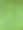 绿色南瓜叶背景抽象的自然，细节，自然和背景，墙纸的纹理，夏天或春天的季节。图片下载