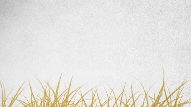 日本风格的插图金色的草在粗糙的白色背景。图片下载
