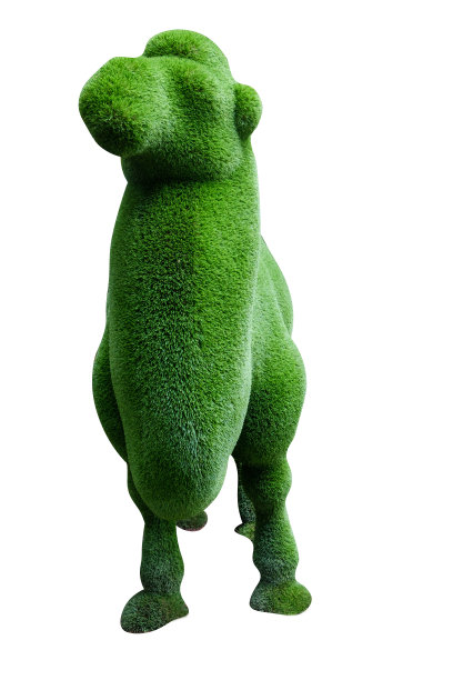 骆驼由白色背景上孤立的草制成图片下载