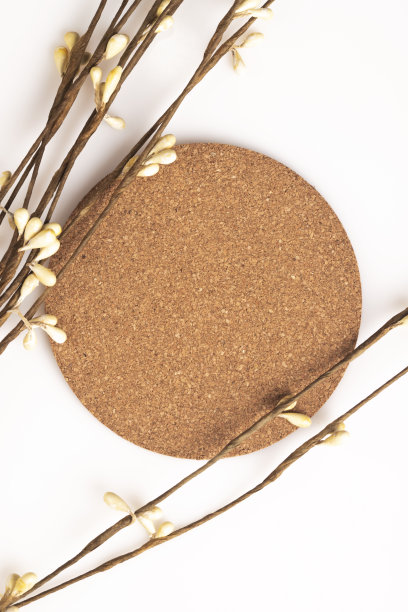 带有细枝的圆形软木展示台或讲台图片下载