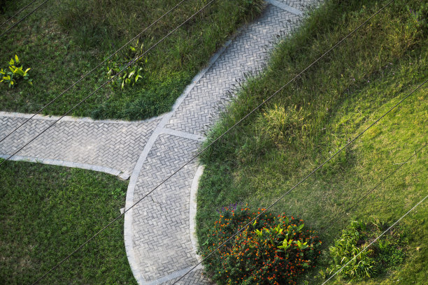草坪上图片下载