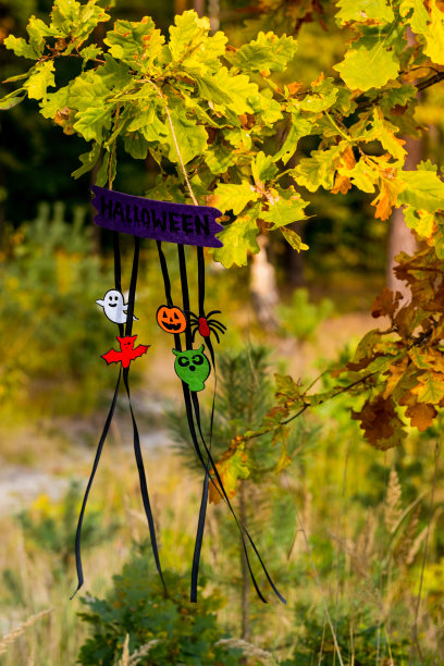 万圣节喜庆的花环或横幅图片下载