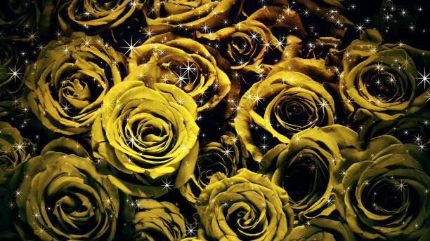 背景上闪闪发光的玫瑰的形象图片下载
