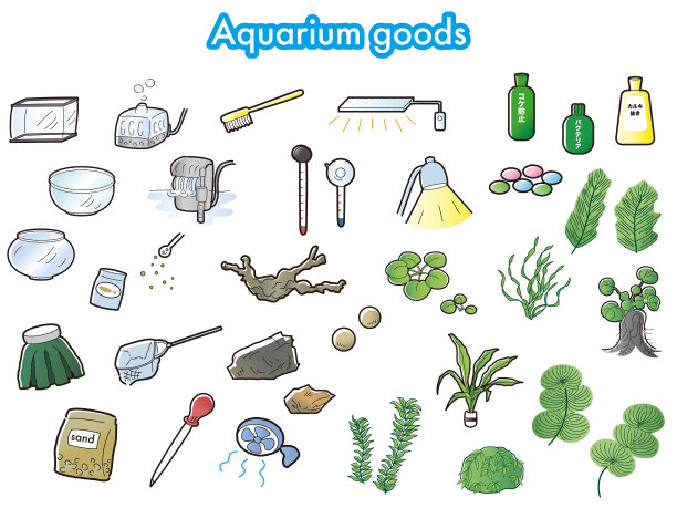 观赏鱼养殖商品水族箱插图套装图片下载