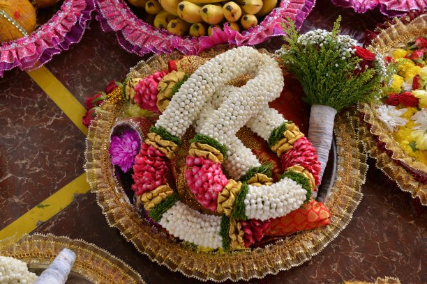 印度教的婚礼马来图片下载