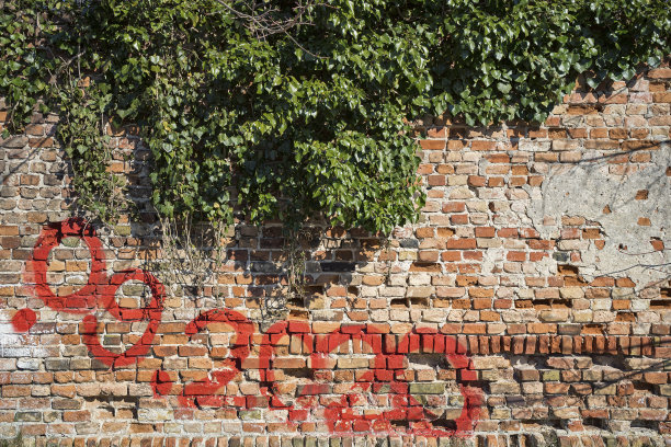 旧的毁灭图片下载