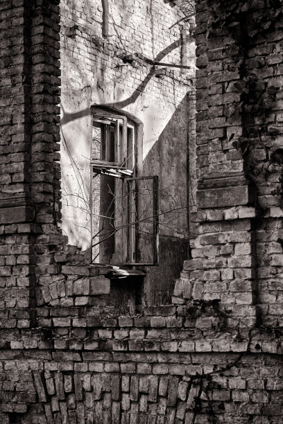 旧的毁灭图片下载