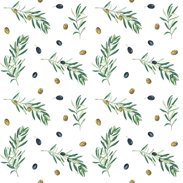 水彩无缝图案与绿色和黑色的橄榄枝在白色的背景。可用于纺织品、墙纸印花、厨房、食品及化妆品设计。图片下载