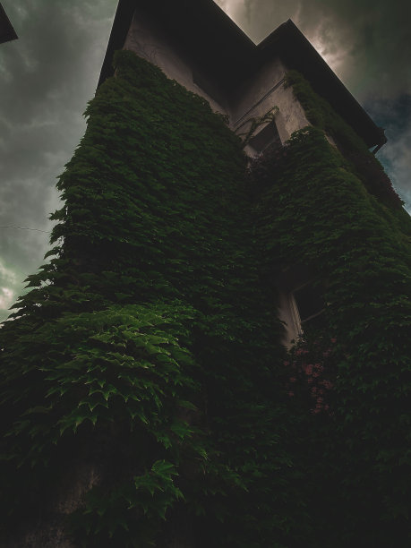 阴天阳光下的古色古香的建筑——神秘的万圣节概念图片下载