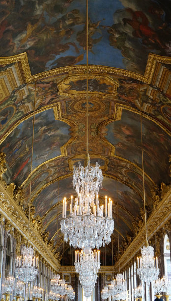 垂直拍摄一个美丽的宫殿内部图片下载