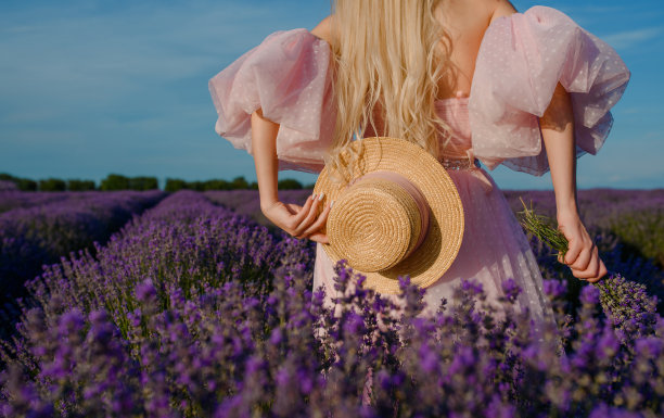 特写女子拿着一顶帽子和薰衣草花束在薰衣草田。图片下载
