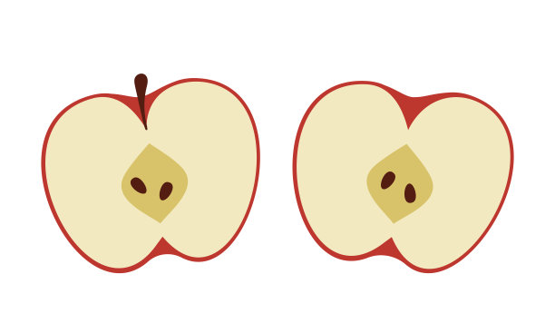 苹果的一半。两片带籽的红色水果。平面风格的孤立矢量插图。图片下载