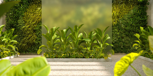 室内垂直墙花园设计，3d渲染图片下载