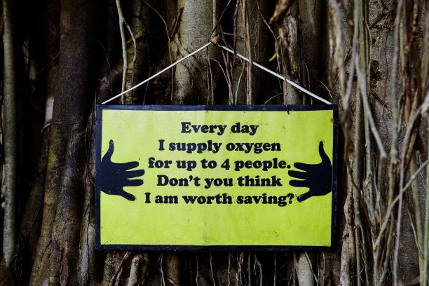 保护环境的名言图片下载