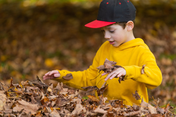 男孩在树叶堆里玩图片下载