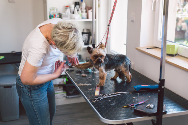 女狗美容师在她的酒吧工作图片下载