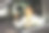 画像微笑的女人坐在车里图片下载