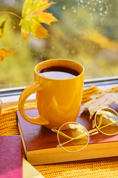 秋天公园里快乐的孩子图片下载