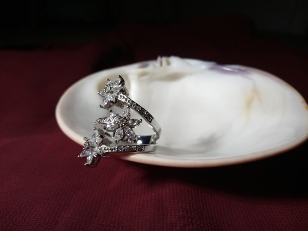 曾祖母的戒指二图片下载