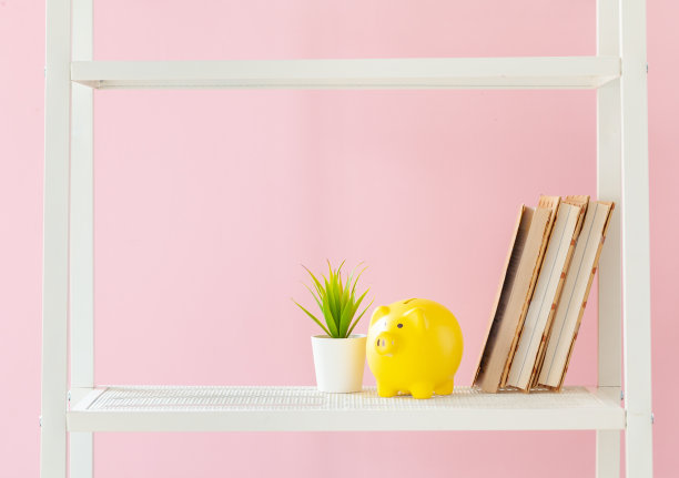白色的书架与书和植物靠粉红色的墙图片下载
