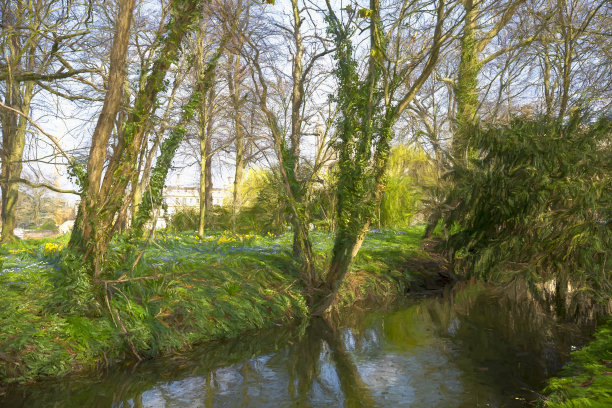 春天的剑桥林地图片下载