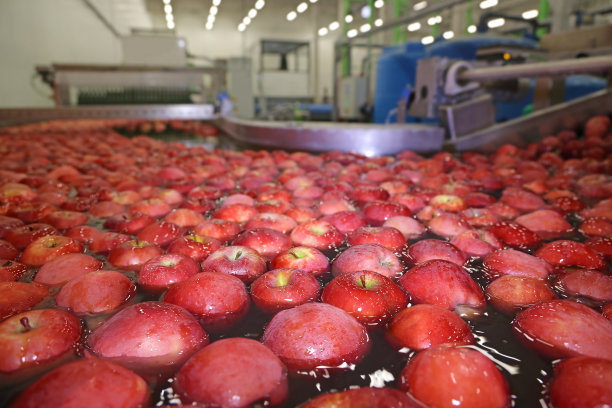 在水果包装仓库里清洗和分级苹果图片下载