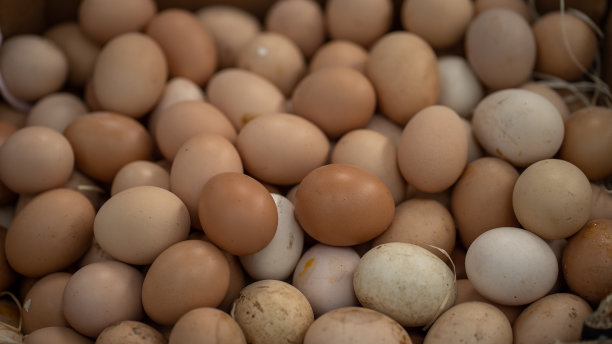 波尔图市场蔬菜水果图片下载