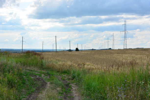 小麦农田，肮脏的道路和电线立柱图片下载