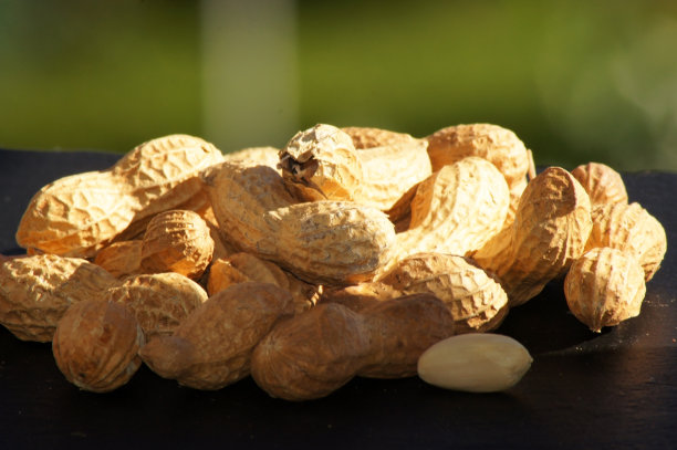 花生暴露在黑白背景图片下载