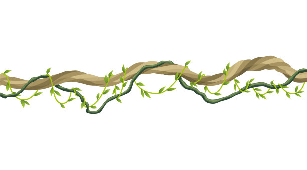 藤本植物茎边界。热带雨林的绿色藤蔓或缠绕植物，挂在树枝上。卡通丛林爬行动物，树上的叶子或苔藓。矢量孤立的游戏风景元素。热带自然植物图片下载