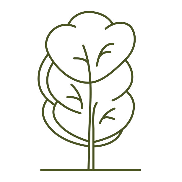 树的建筑规划。随行人员设计。图片下载