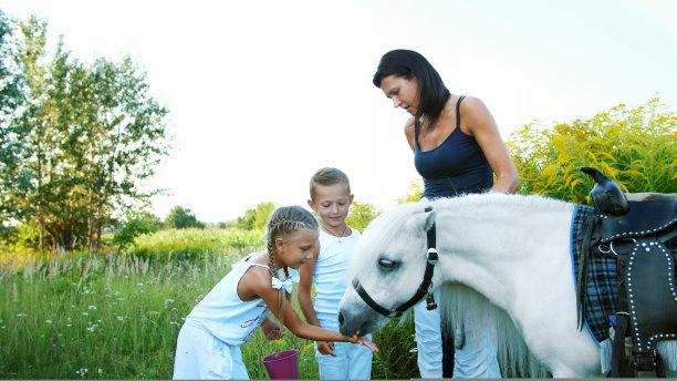 孩子们，一男一女七岁，喂了一匹小白马，给吃胡萝卜。欢天喜地，阖家度假快乐。在户外，夏天，在森林附近图片下载