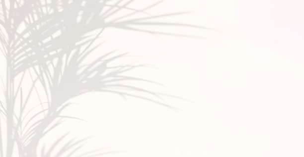 美丽柔和的斑纹光和植物叶影在最小的白色墙壁背景图片下载