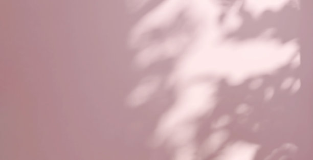 美丽柔和的热带树叶树阴影光空柔和的粉红色墙壁背景图片下载