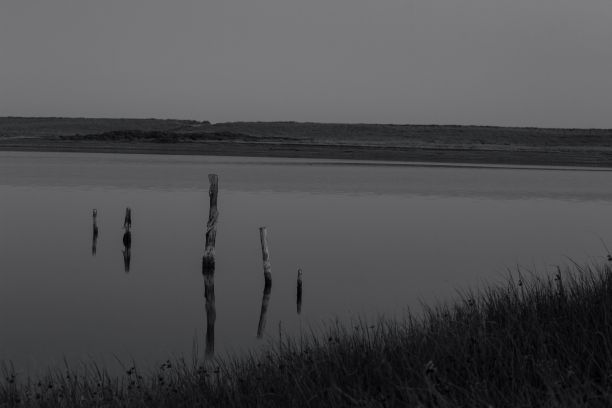 白天被草地包围的乡村湖泊的黑白照片图片下载