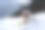 一只萨摩耶狗在雪山上的特写镜头，滑雪眼镜遮住了它的脸图片下载