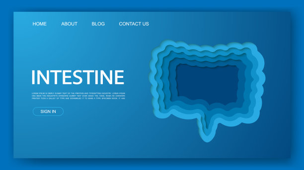 肠3d剪纸网站模板。小肠和大肠的剪纸插图。器官解剖符号为登陆页、广告页图片下载