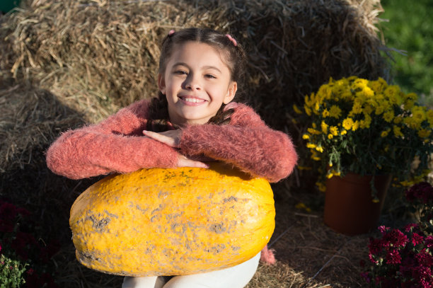 收集南瓜收获。南瓜。女孩可爱的孩子大南瓜乡村背景。感恩节、万圣节或丰收日。秋季假期。阳光明媚的户外，小孩子和南瓜图片下载