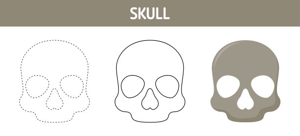 儿童颅骨描画和上色工作表图片下载