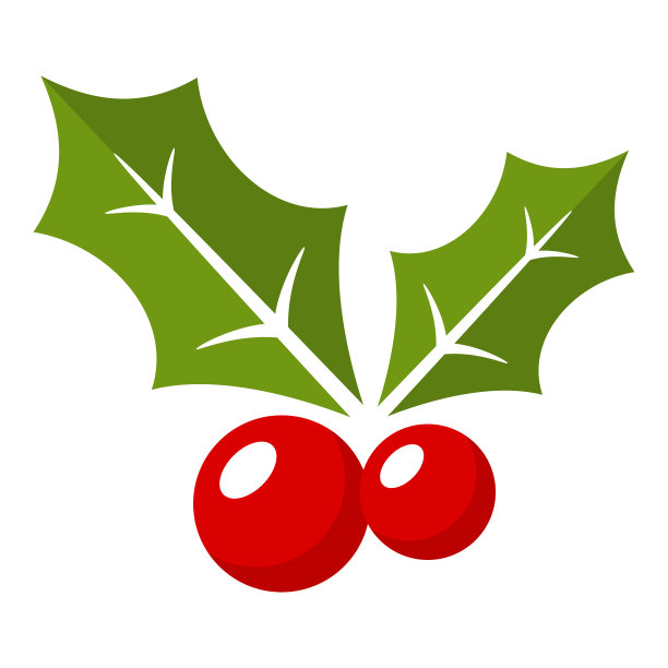 冬青浆果孤立在白色背景图片下载