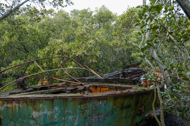 HMAS Karangi - Homebush湾沉船场在悉尼，澳大利亚图片下载