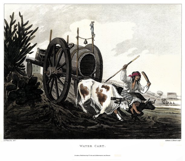 布宜诺斯艾利斯的水车，由布宜诺斯艾利斯和蒙特维迪亚风景如画的插图1820年。图片下载