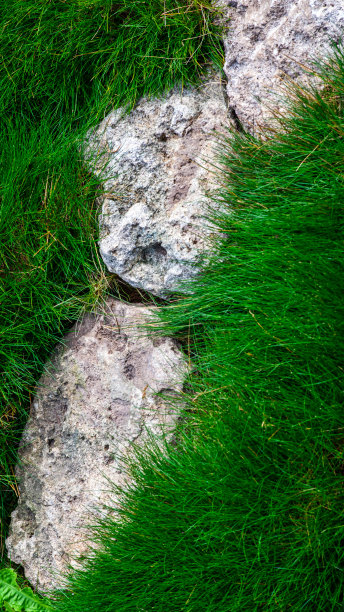 花园装饰由石头和石雕在漂亮的绿色。图片下载