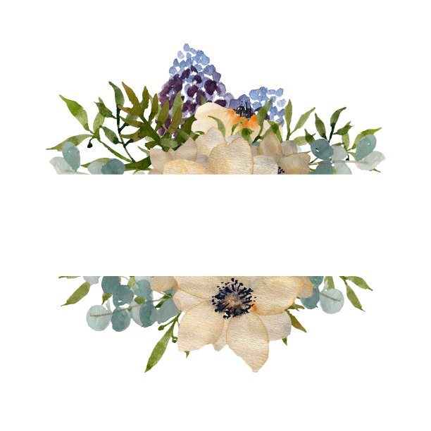 一个花框风信子海葵水彩旗图片下载