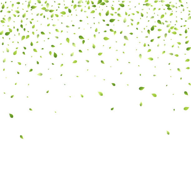 叶绿，落，飞，叶，茶，薄荷图片下载