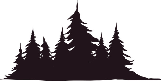 松树树森林图片下载