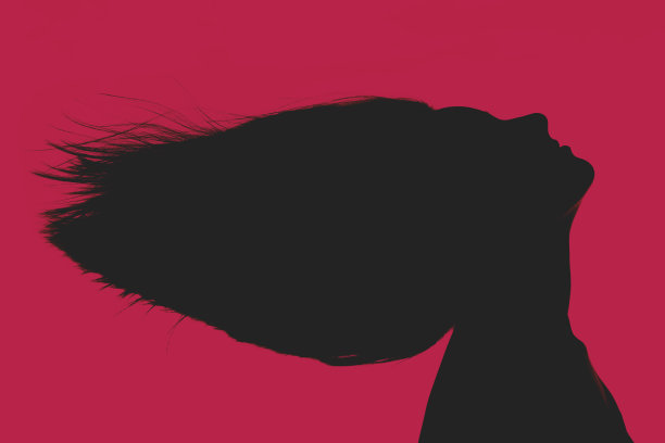 女人的脸轮廓与飞行的头发图片下载